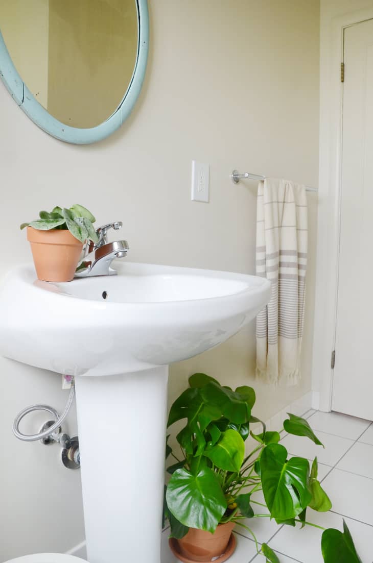 Pedestal Sinks Pros, Cons Apartment Therapy